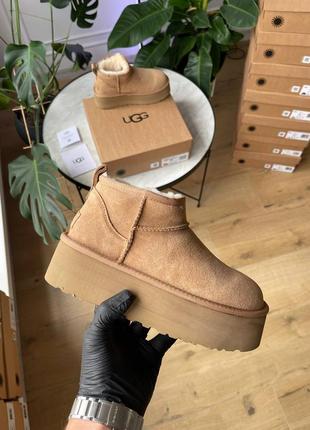 Ugg ultra mini platform chestnut