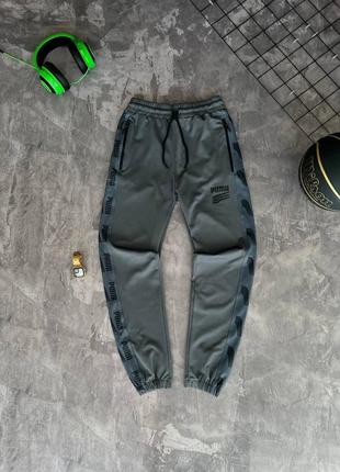 Спортивные штаны Night puma