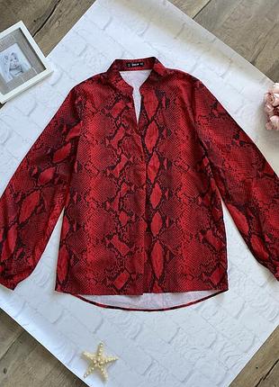 Блуза блузка shein с принтом