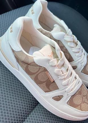 Кеди coach