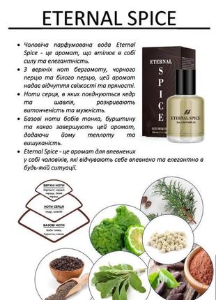 Чоловіча парфумована вода eternal spice farmasi, 50ml2 фото