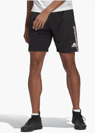 Шорти adidas