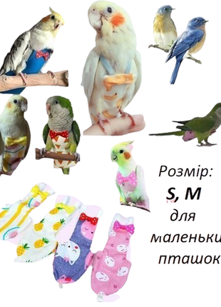 Подгузник підгузок пелюшки штанці для папуги птички маленького розміру синички горобчика воробья