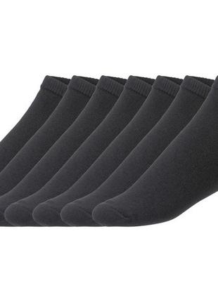 Набір 7пар шкарпеток  німецького бренду чоловічого одягу livergy р.39/42 чи  р.43/46.3 фото