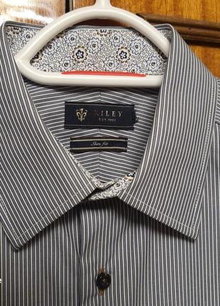 Хлопковая рубашка премиального шведского бренда riley3 фото