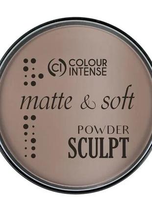 Пудра-скульптор для обличчя colour intense sculpting matte finish pressed powder, 01, 12 г