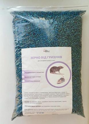 Отрава от мышей 1кг протравленное зерно отрава яд для крыс мышей средство от грызунов полевых мышей