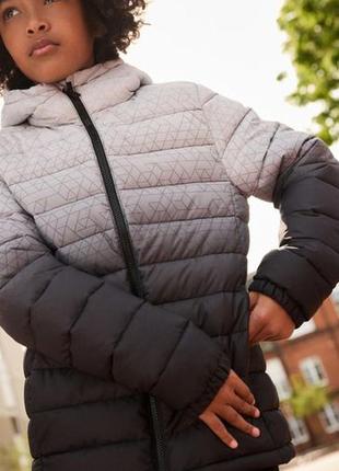 Демісезонна курточка на хлопчиків next🩶