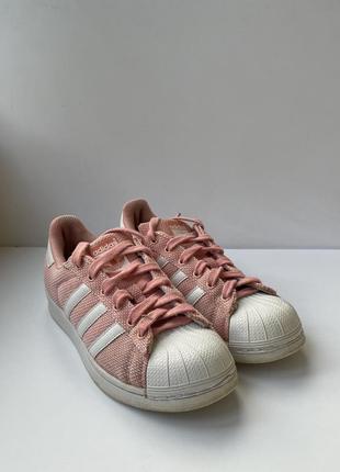 Кеди adidas superstar 381 фото