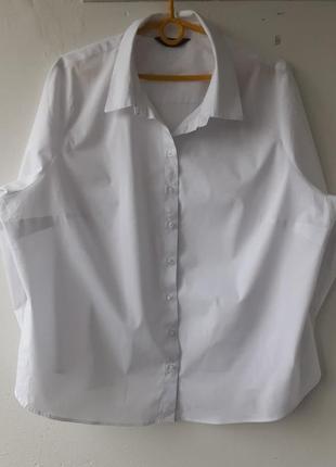 Белая базовая рубашка marks&amp;spencer p 44-464 фото