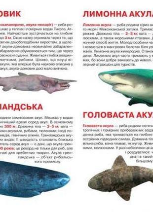 Книга "большая книга. акулы" (укр) [tsi139497-тsі]2 фото