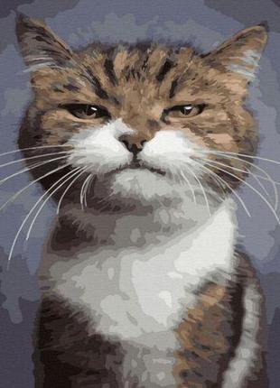 Картина за номерами "котяка-підозрювака" ★★★ [tsi205320-тsі]