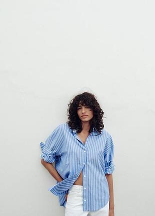 Смугаста блакитна сорочка оксфорд zara