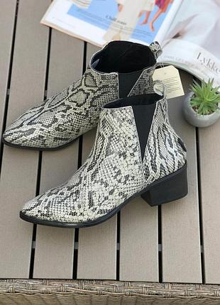 Світло-бежеві шкіряні ботильйони козаки в принт пітона