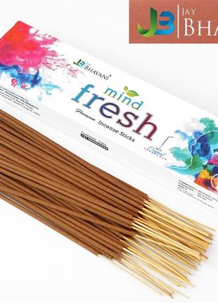 Jay bhavani mind fresh 90 грамм свежий разум bm