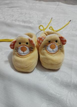 Пинетки тигр