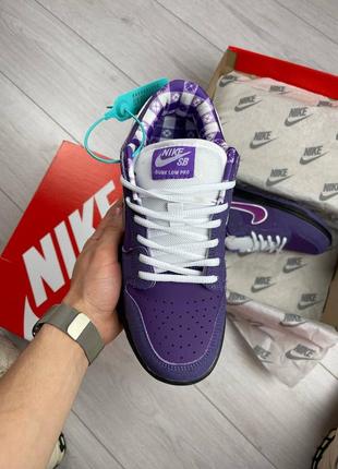 Nike sb dunk low purple lobster9 фото