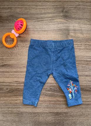 Лосини для девчоки немовляти, сині лосини під джинс1 фото