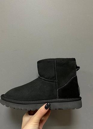 Угги угги угги ugg classic mini black suede