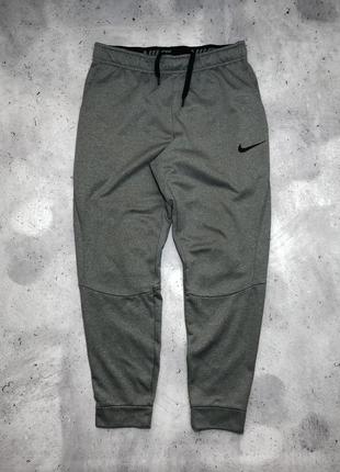 Спритвин штани nike,найк1 фото