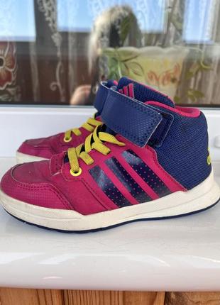 Кросівки хайтопи adidas