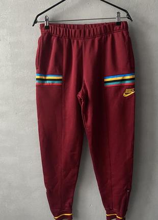 Nike sb snw спортивні штани