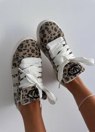 Adidas campus leopard premium