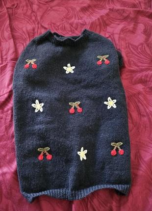 Светр для песика котика