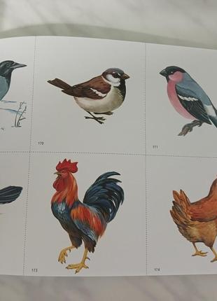 Книга "розвивайся, малюк!" закревская для розвитку мовлення