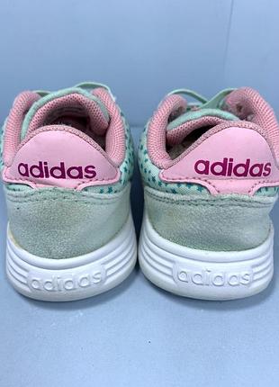 Кросівки adidas 6