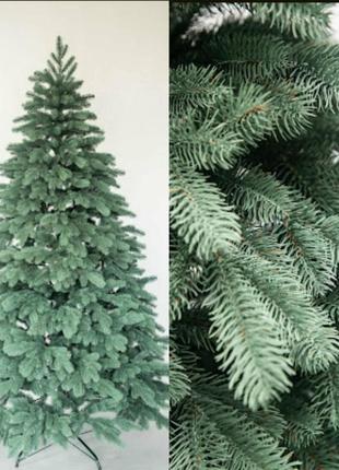 Ель "буковельска" блакитна 2.3 метра