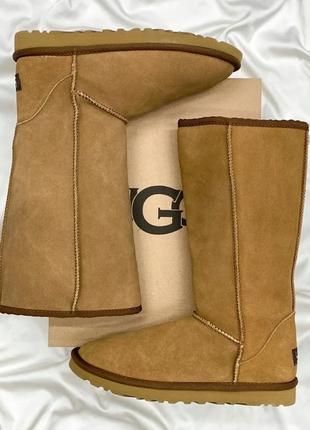 Ugg classic tall ii boot light beige (распродажа)