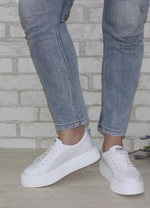 Жіночі білі кросівки крипери білий3 фото