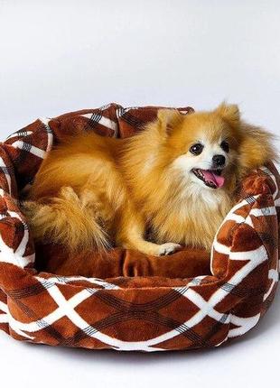 Лежак для собаки красивий червоний коричневий сірий2 фото
