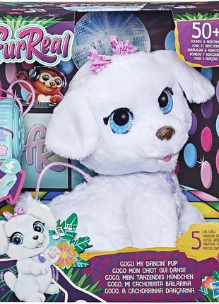 Інтерактивна іграшка щеня танцююче цуценя гого furreal friends gogo my dancin' pup hasbro7 фото