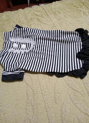 Одяг для тварин