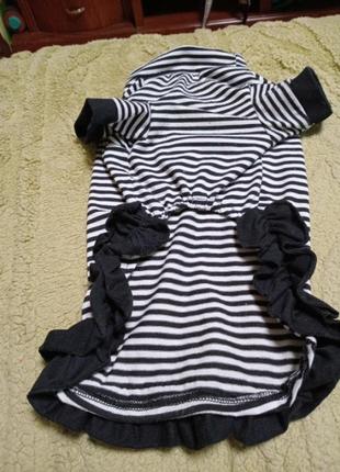 Одяг для тварин2 фото