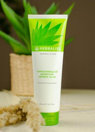 Укрепляющий шампунь herbal aloe