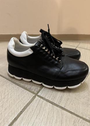 Кросівки кеди шкіряні casadei