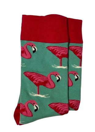 Носки размер 39-43