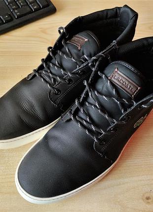 Ботинки lacoste ampthill terra 319 1 оригинал натуральная кожа4 фото