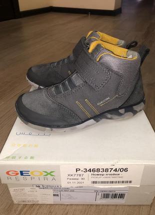 Осінні ботінки geox