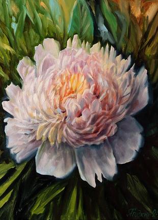 Картина олійними фарбами красень піон