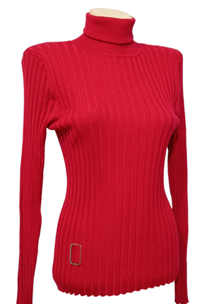 Гольф, водолазка.