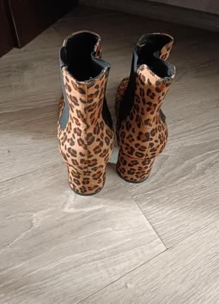 Леопардовые ботинки с квадратным носом, на небольшом квадратном каблуке 41 27 см2 фото