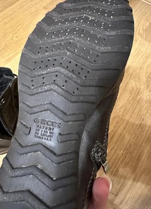 Черевики geox