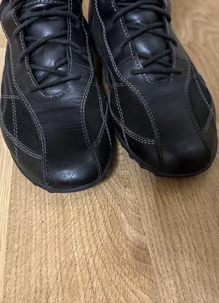 Черевики geox