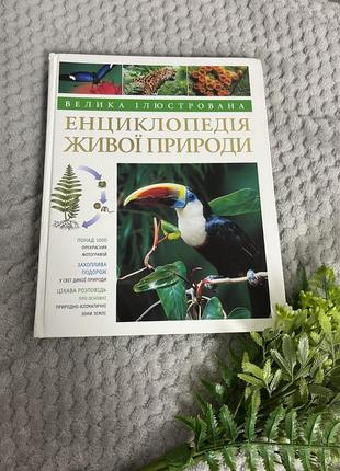 Енциклопедії