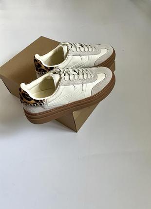 Кеди steve madden dodge світлий/чорний