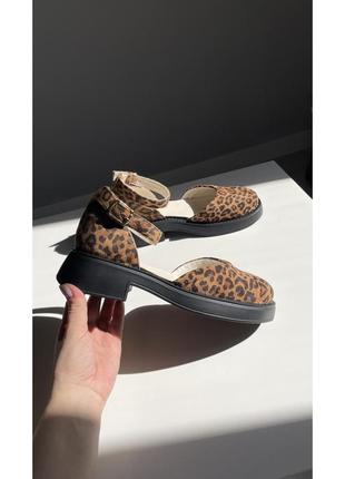 Туфли открытые леопардовые замшевые v7-001-11l 383 фото